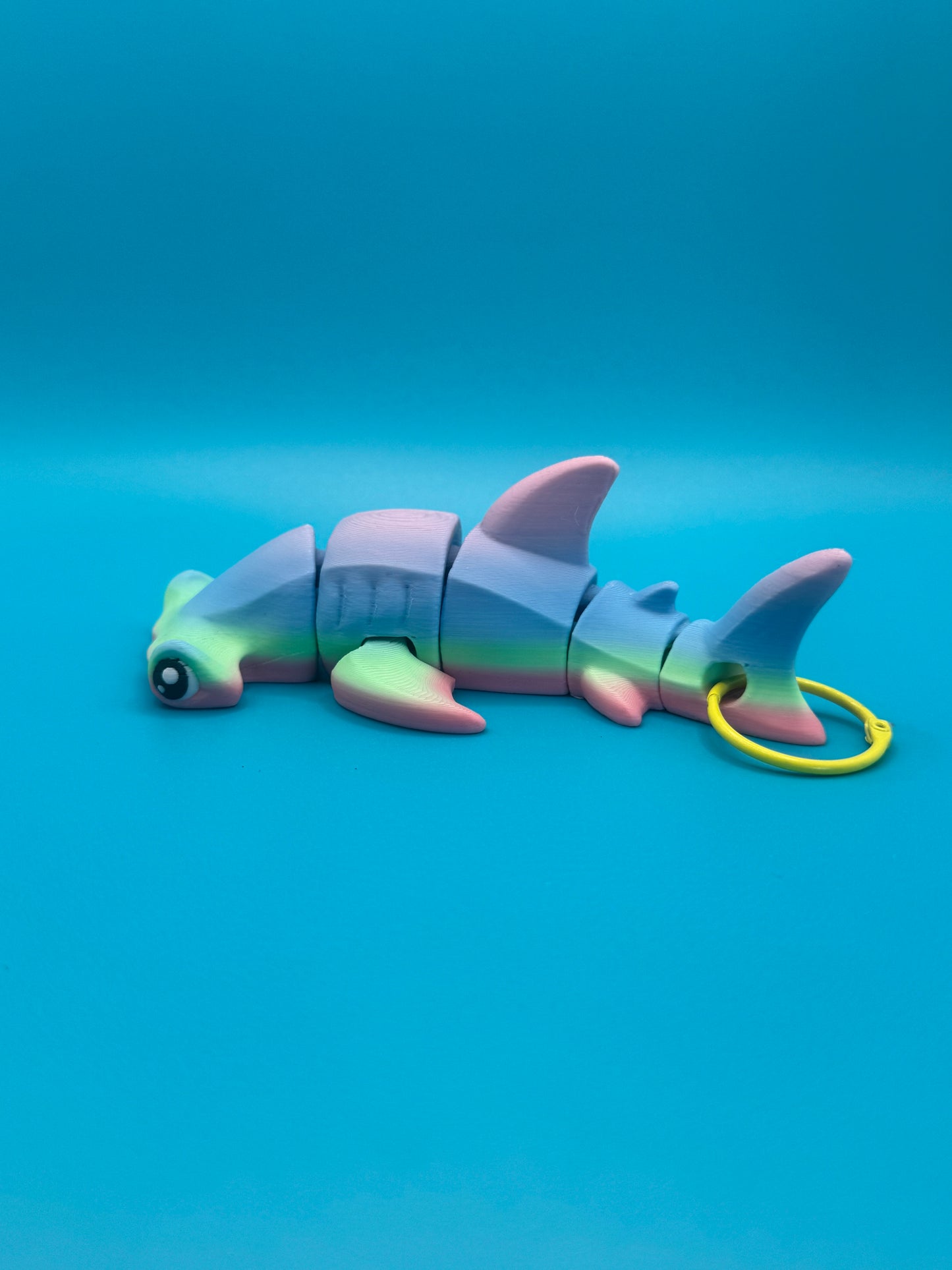 Sledge Hammer – The Rainbow Reef Hammerhead!
